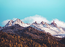 直面第二季锡安兑现天赋？大范战术或助他蜕变